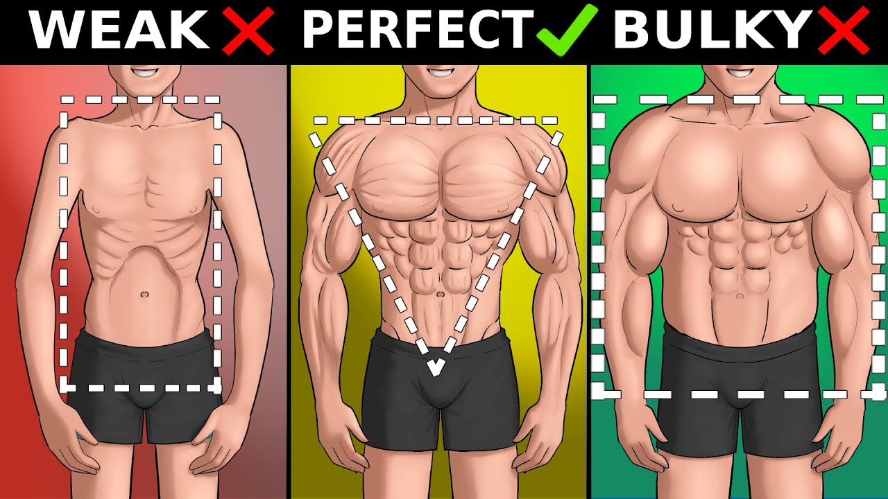 Ideal Body Proportions Explained