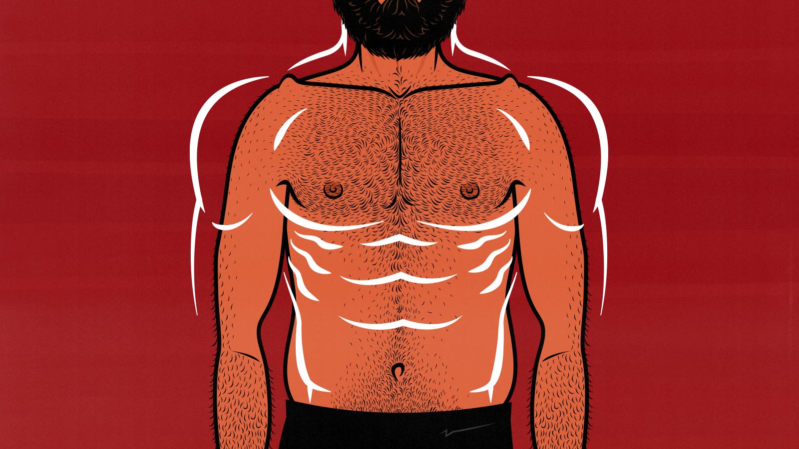 What Is Shoulder to Hip Ratio and Why It Matters