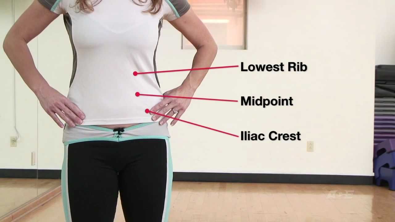 How to Measure Your Waist to Hip Ratio